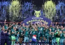 Palmeiras é campeão em arrancada heroica e conquista seu 12º título do Brasileiro